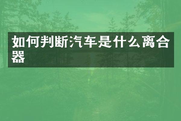 如何判断汽车是什么离合器