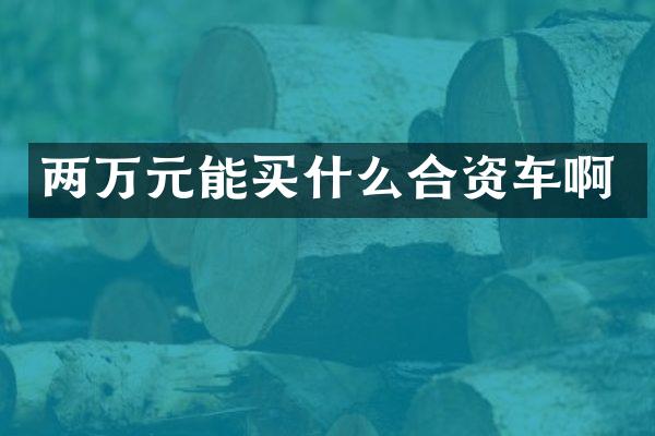 两万元能合资车啊