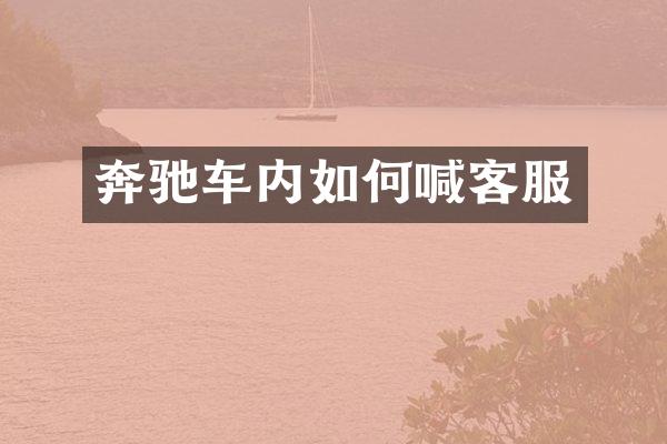奔驰车内如何喊客服