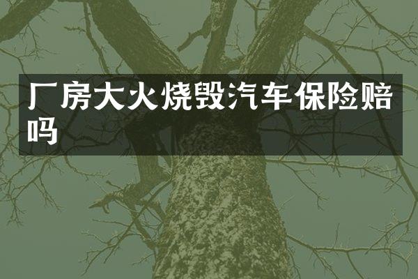 厂房大火烧毁汽车保险赔吗