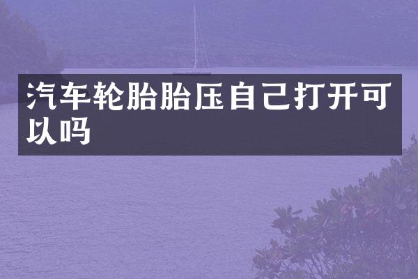 汽车轮胎胎压自己打开可以吗