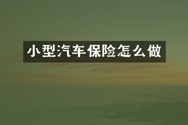 小型汽车保险怎么做