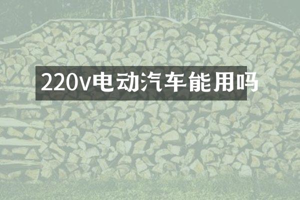 220v电动汽车能用吗