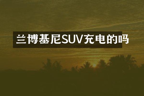 兰博基尼SUV充电的吗