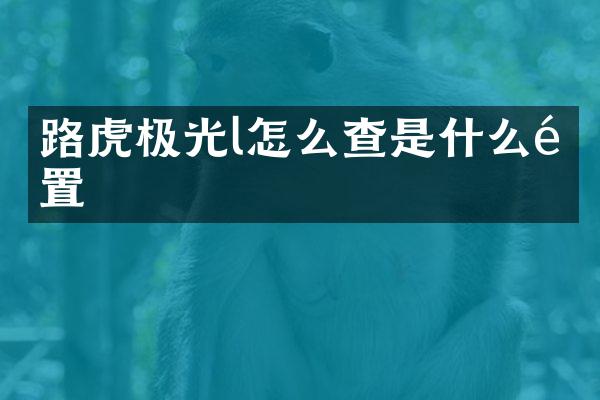 路虎极光l怎么查是什么配置