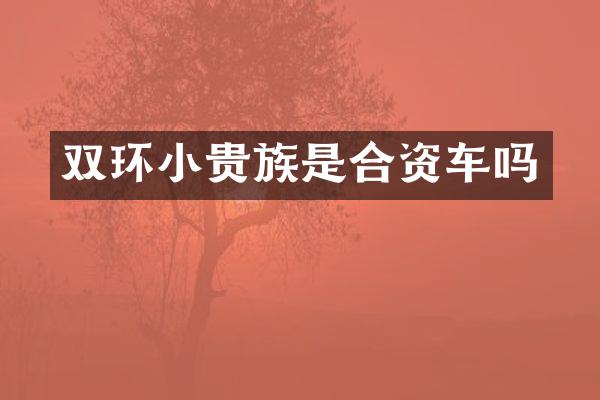 双环小贵族是合资车吗