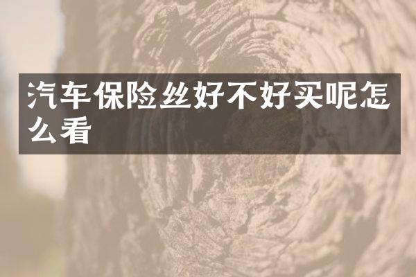 汽车保险丝好不好买呢怎么看