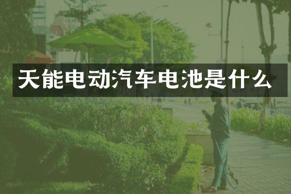 天能电动汽车电池是什么
