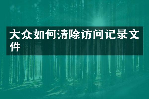 大众如何清除访问记录文件