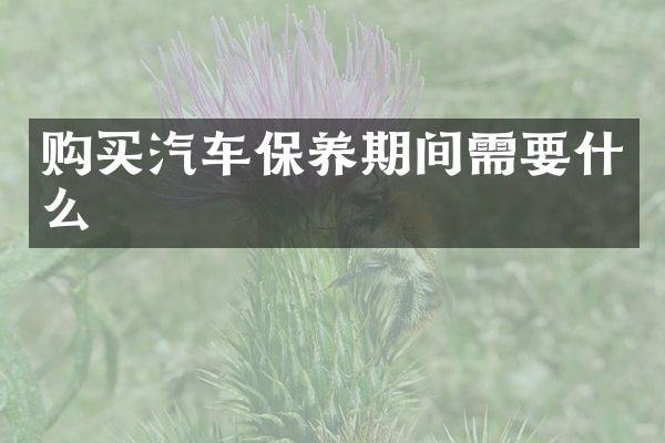 购买汽车保养期间需要什么
