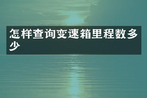 怎样查询变速箱里程数多少