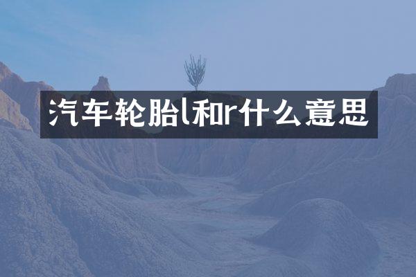 汽车轮胎l和r什么意思