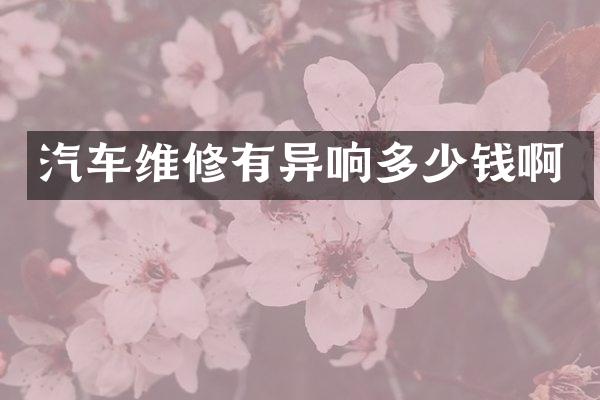 汽车维修有异响多少钱啊