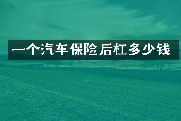 一个汽车保险后杠多少钱