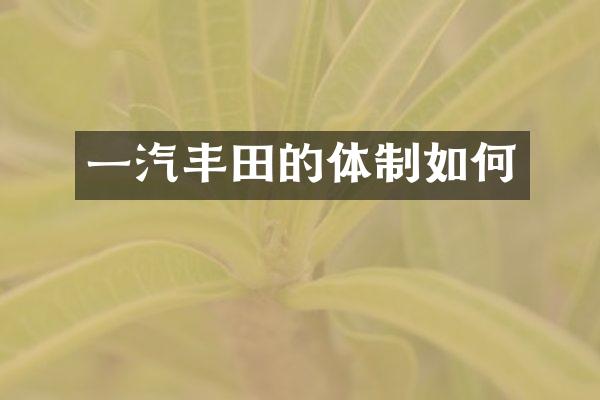 一汽丰田的体制如何
