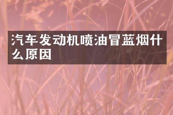 汽车发动机喷油冒蓝烟什么原因
