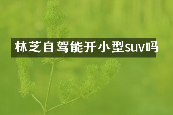 林芝自驾能开小型suv吗