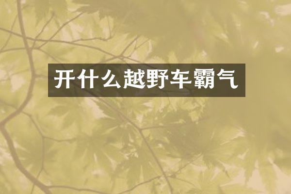 开什么越野车霸气