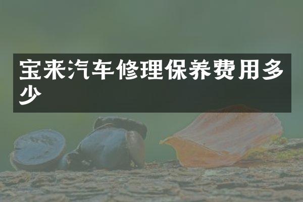 宝来汽车修理保养费用多少