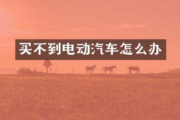 买不到电动汽车怎么办
