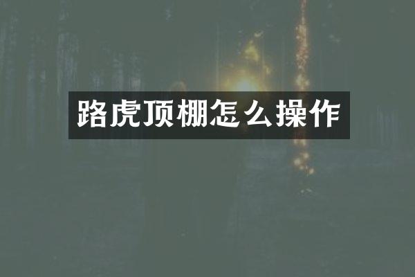 路虎顶棚怎么操作