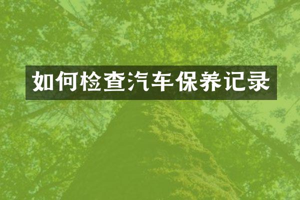 如何检查汽车保养记录