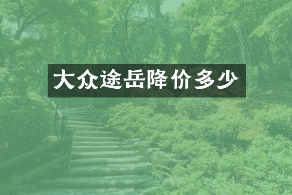 大众途岳降价多少