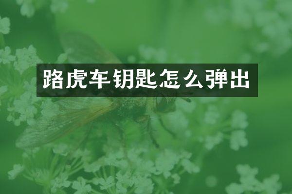 路虎车钥匙怎么弹出