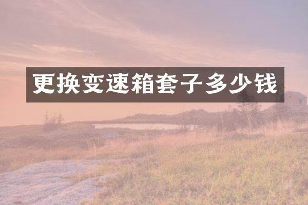更换变速箱套子多少钱