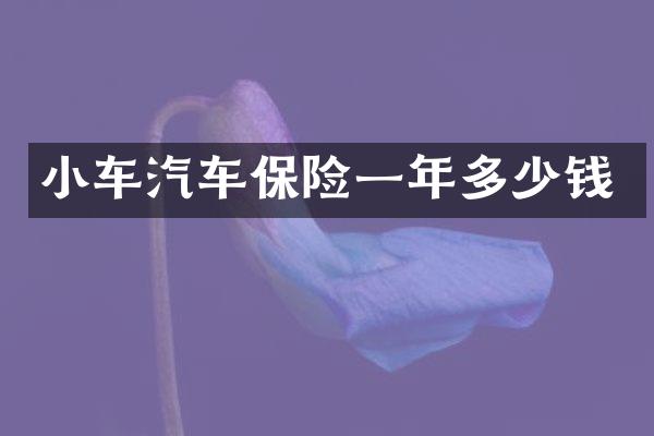 小车汽车保险一年多少钱