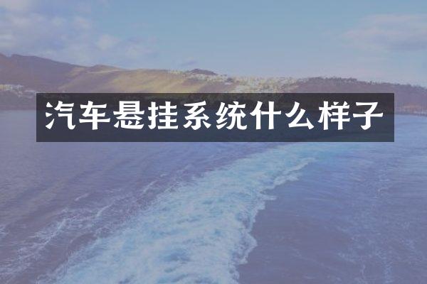 汽车悬挂系统什么样子