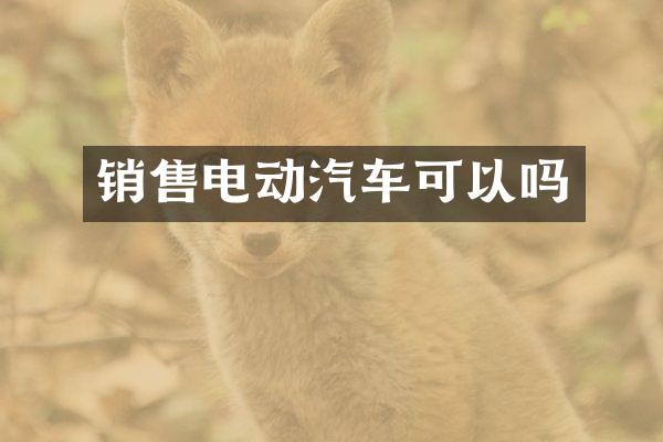 销售电动汽车可以吗