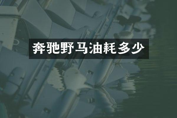 奔驰野马油耗多少