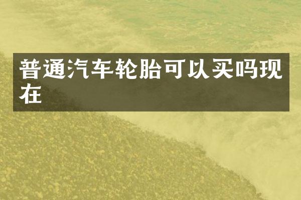 普通汽车轮胎可以买吗现在