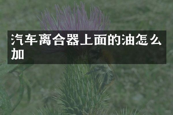 汽车离合器上面的油怎么加
