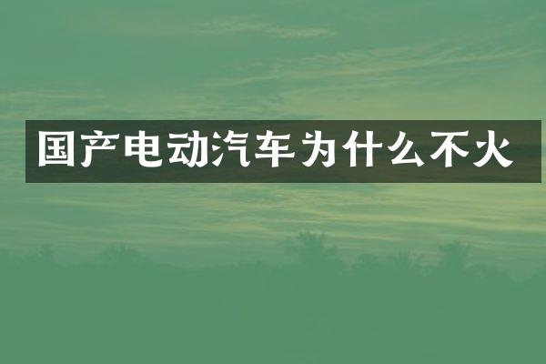 国产电动汽车为什么不火