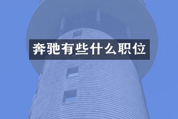 奔驰有些什么职位
