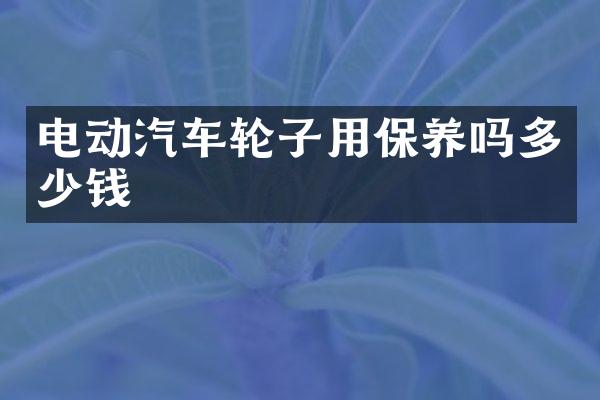 电动汽车轮子用保养吗多少钱