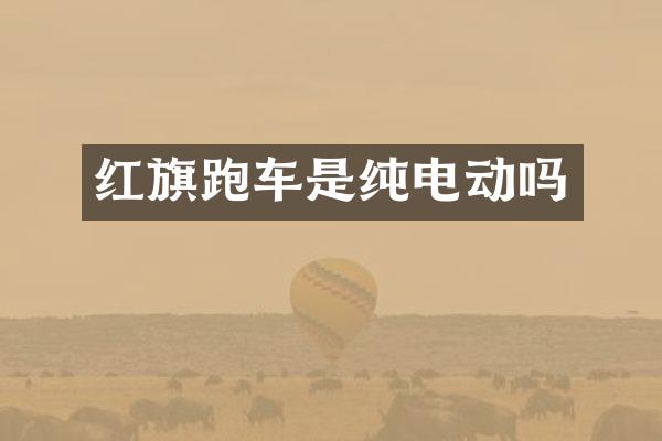 红旗跑车是纯电动吗