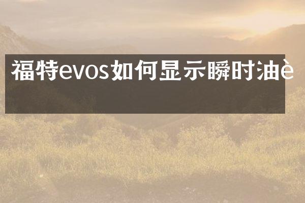福特evos如何显示瞬时油耗
