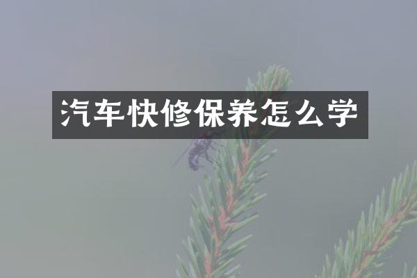 汽车快修保养怎么学