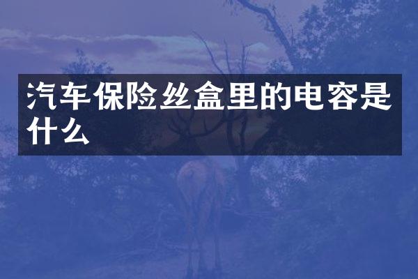 汽车保险丝盒里的电容是什么