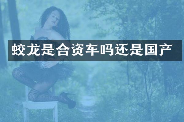 蛟龙是合资车吗还是国产