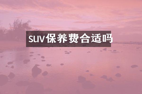 suv保养费合适吗
