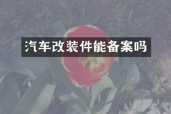 汽车改装件能备案吗