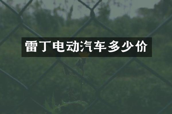 雷丁电动汽车多少价