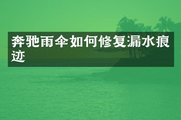 奔驰雨伞如何修复漏水痕迹