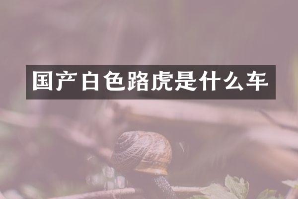国产白色路虎是什么车