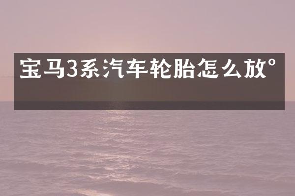 宝马3系汽车轮胎怎么放气