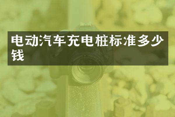 电动汽车充电桩标准多少钱